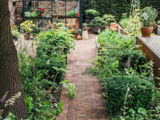 High-quality gardening services in Manchester provided by Challenge-Man. Gardening Services Manchester