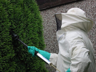 Reliable and professional pest control in Manchester for homes and businesses. Manchester Pest Control Service